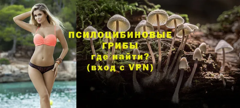 где купить наркоту  МЕГА онион  Псилоцибиновые грибы Psilocybe  Коммунар 